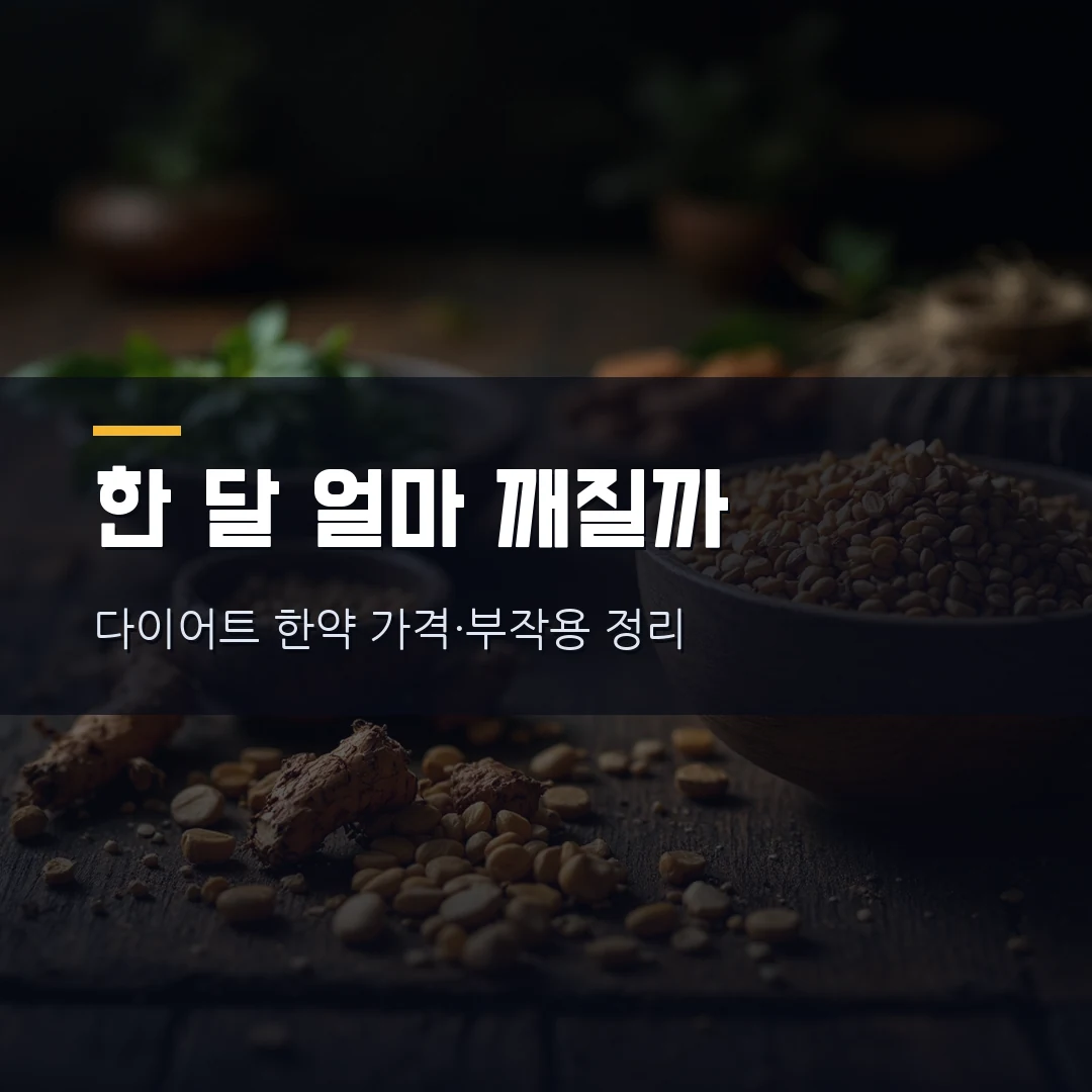 다이어트 한약 가격 2026 — 한 달 얼마? 마황 부작용·실비 적용·효과 직접 정리