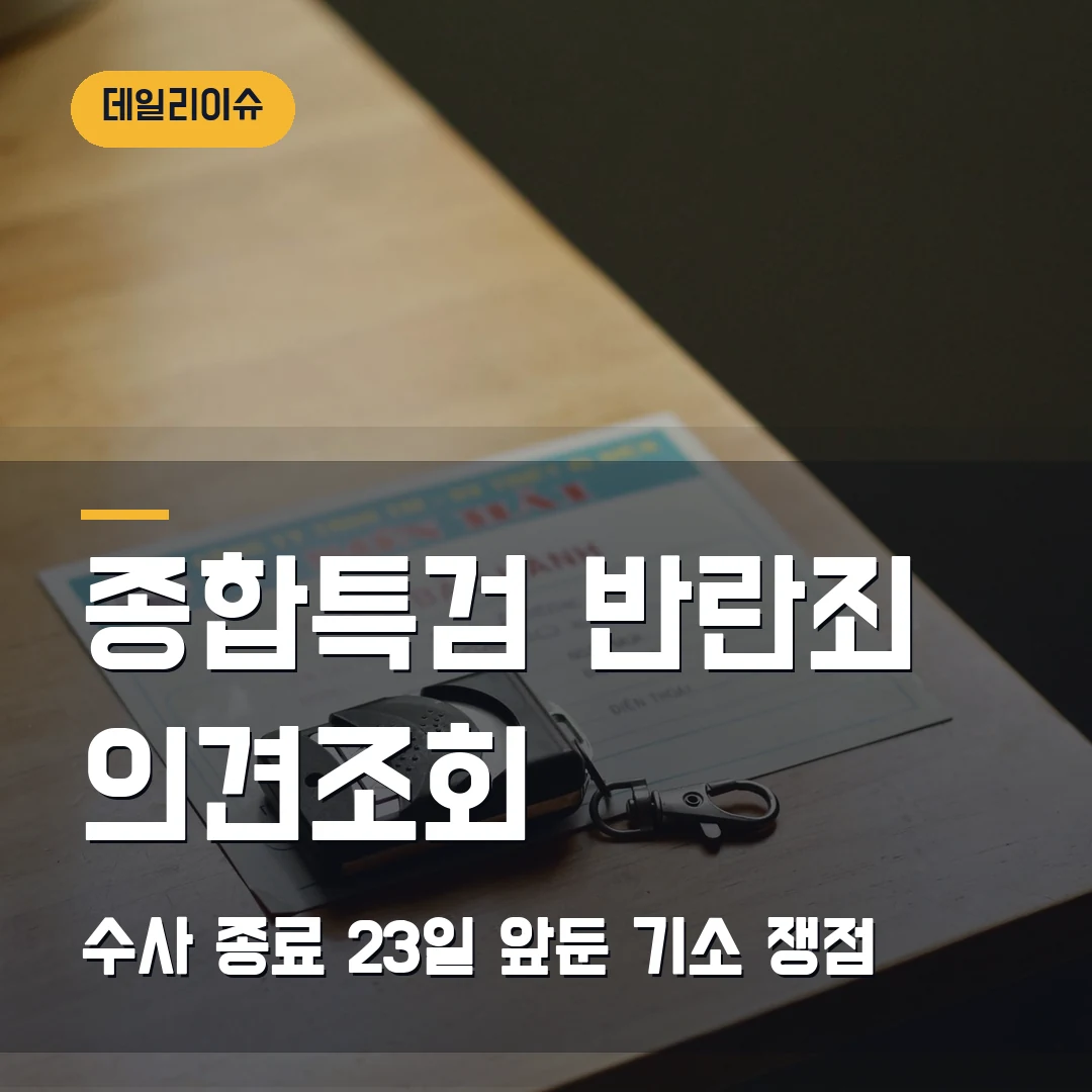 종합특검 반란죄 의견조회 2026 — 수사 종료 앞두고 기소 여부가 갈리는 이유