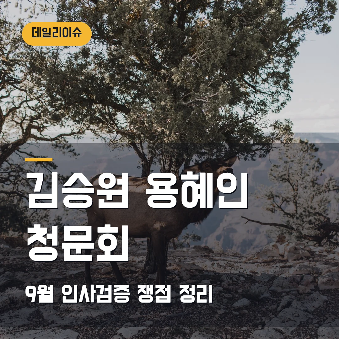 김승원 용혜인 청문회 일정 2026, 지명 유지에 쟁점 더 커진 이유